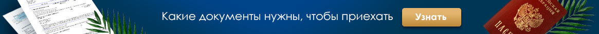 Какие документы нужны, чтобы приехать